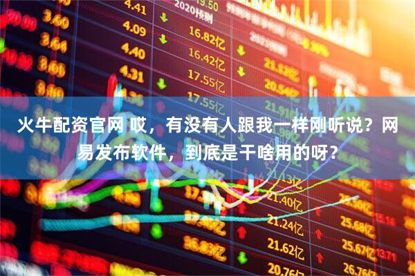 火牛配资官网 哎，有没有人跟我一样刚听说？网易发布软件，到底是干啥用的呀？